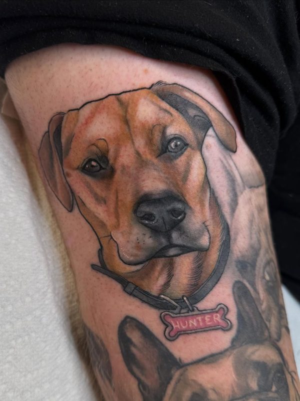 Dog Portrait