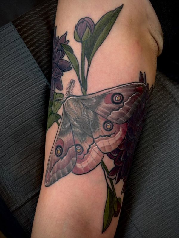 Moth and Flowers