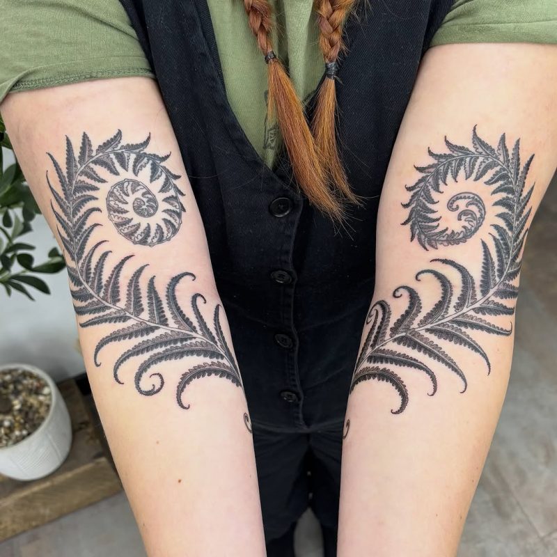 Fern Spiral