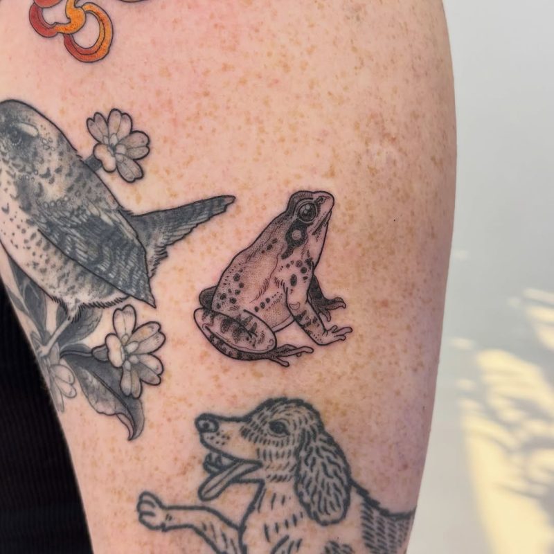 Black & Gray Frog