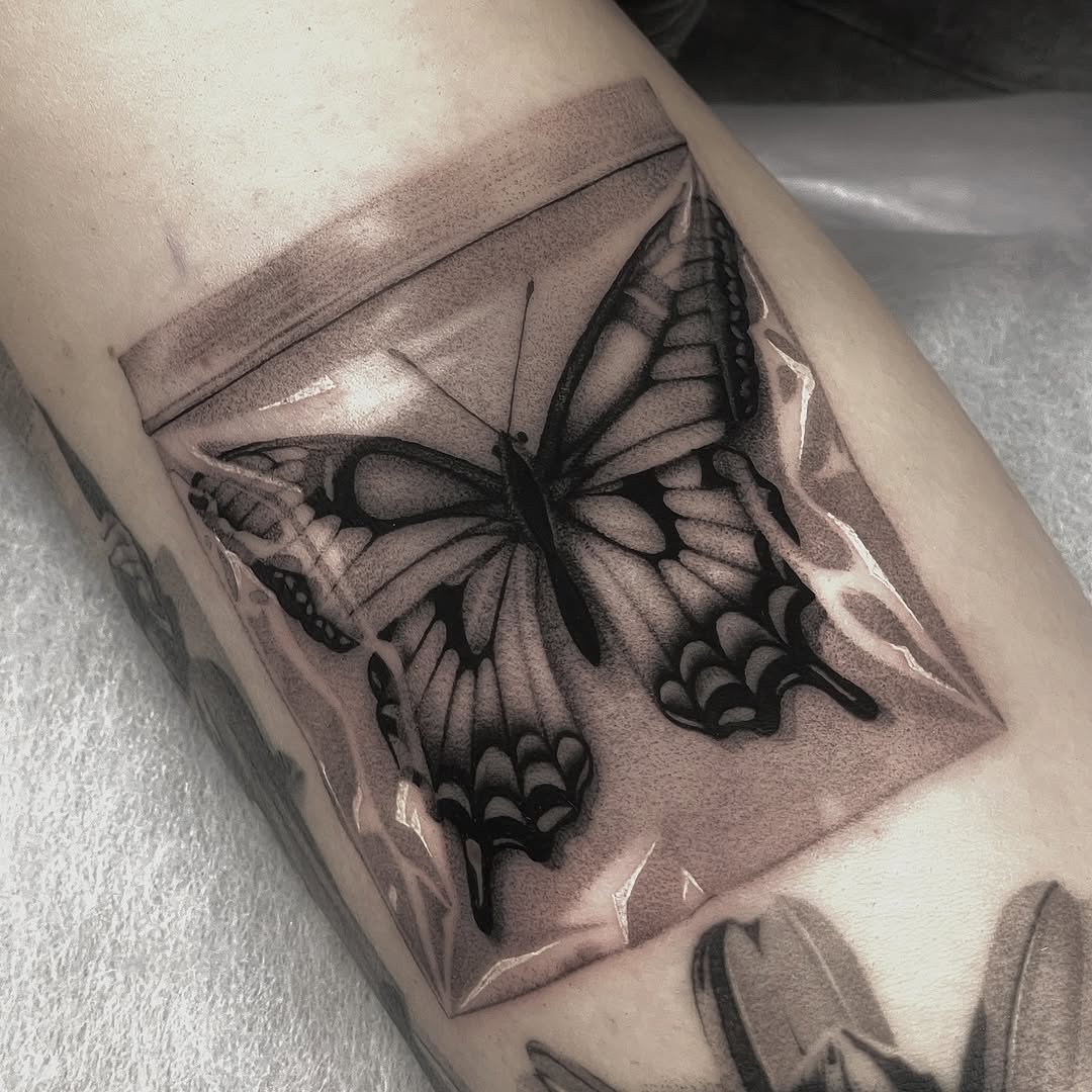 Realistic Butterfly