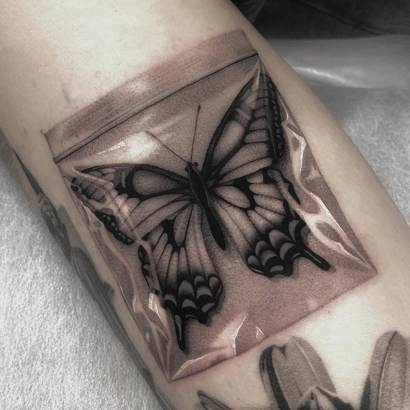 Realistic Butterfly