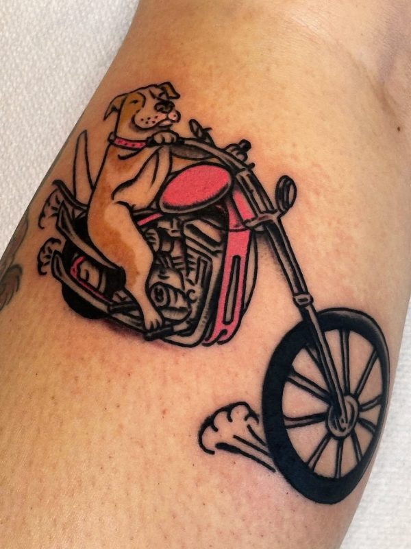 Dog on Motorcycle