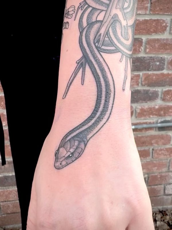 Black Gray Snake
