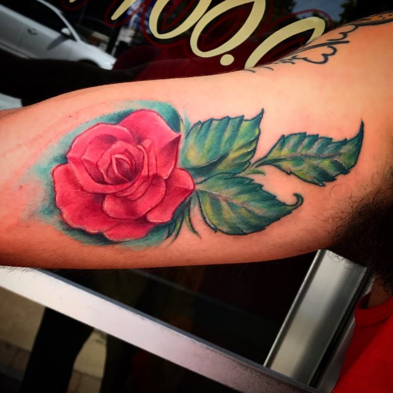 Realistic Rose