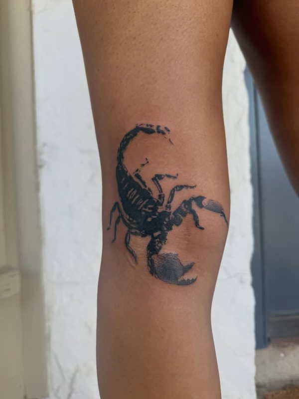 Black Scorpion