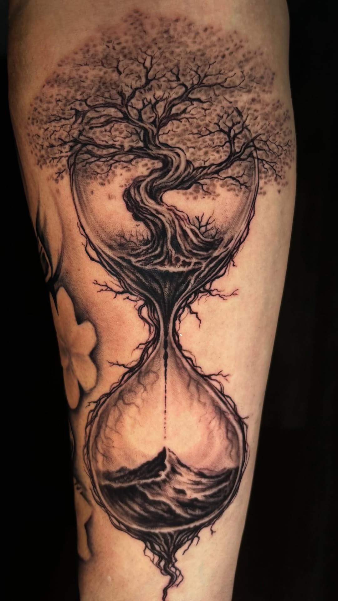 Hourglass Tree