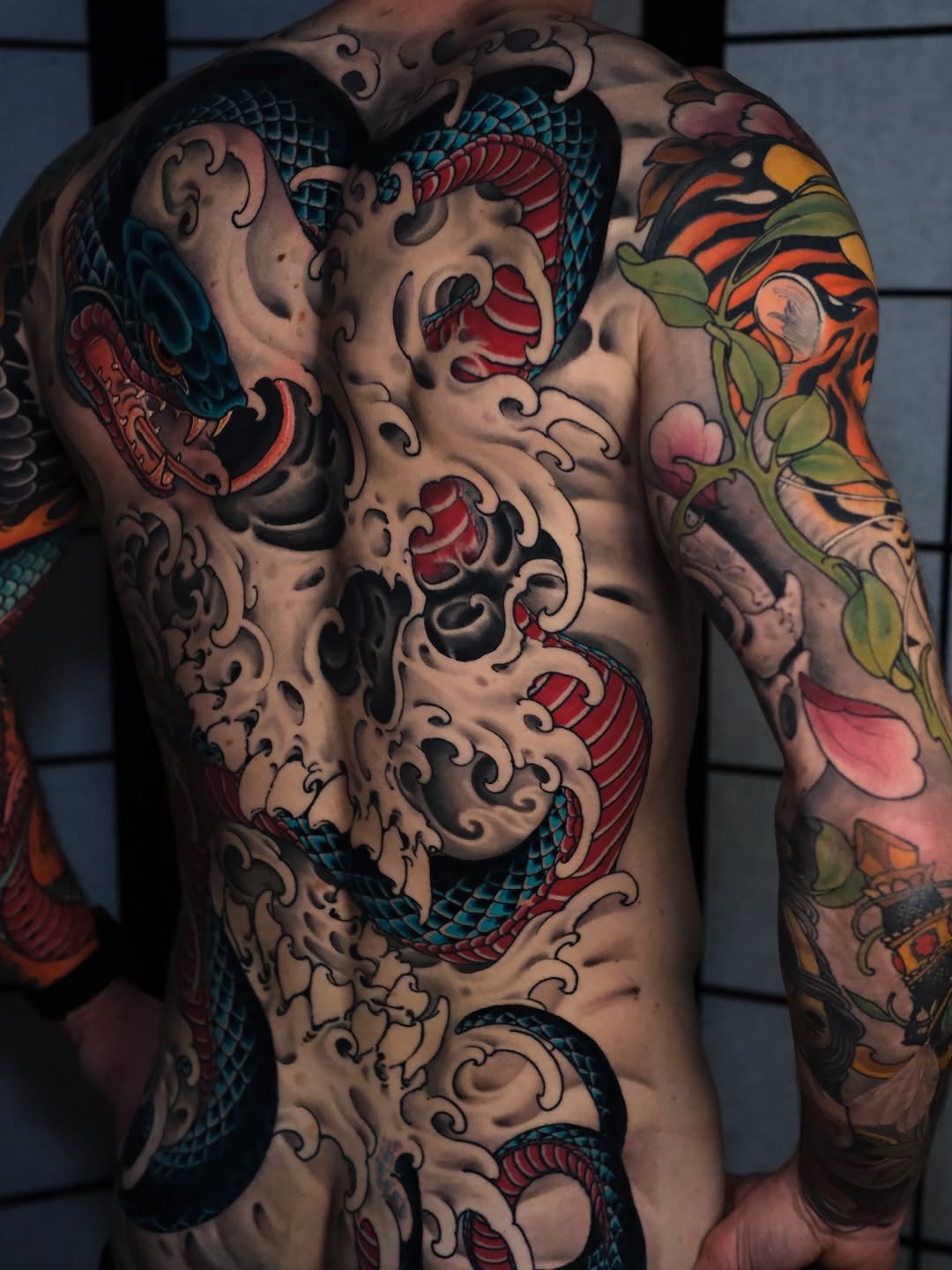 Japanese Snake Back