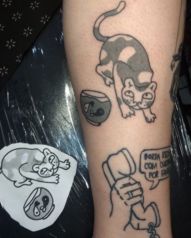 Gato & aquario