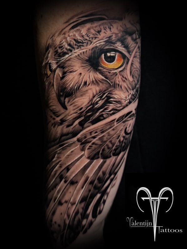 Realistic Owl Eye