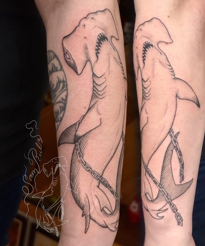 Hammerhead Shark