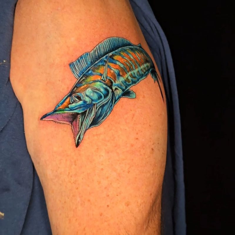 Colorful Fish