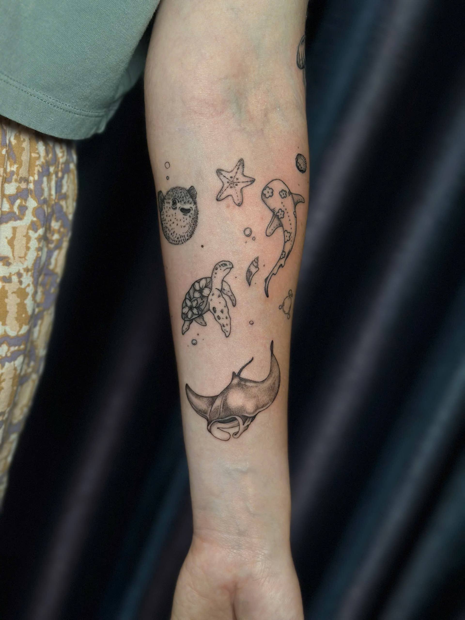 Ocean Creatures