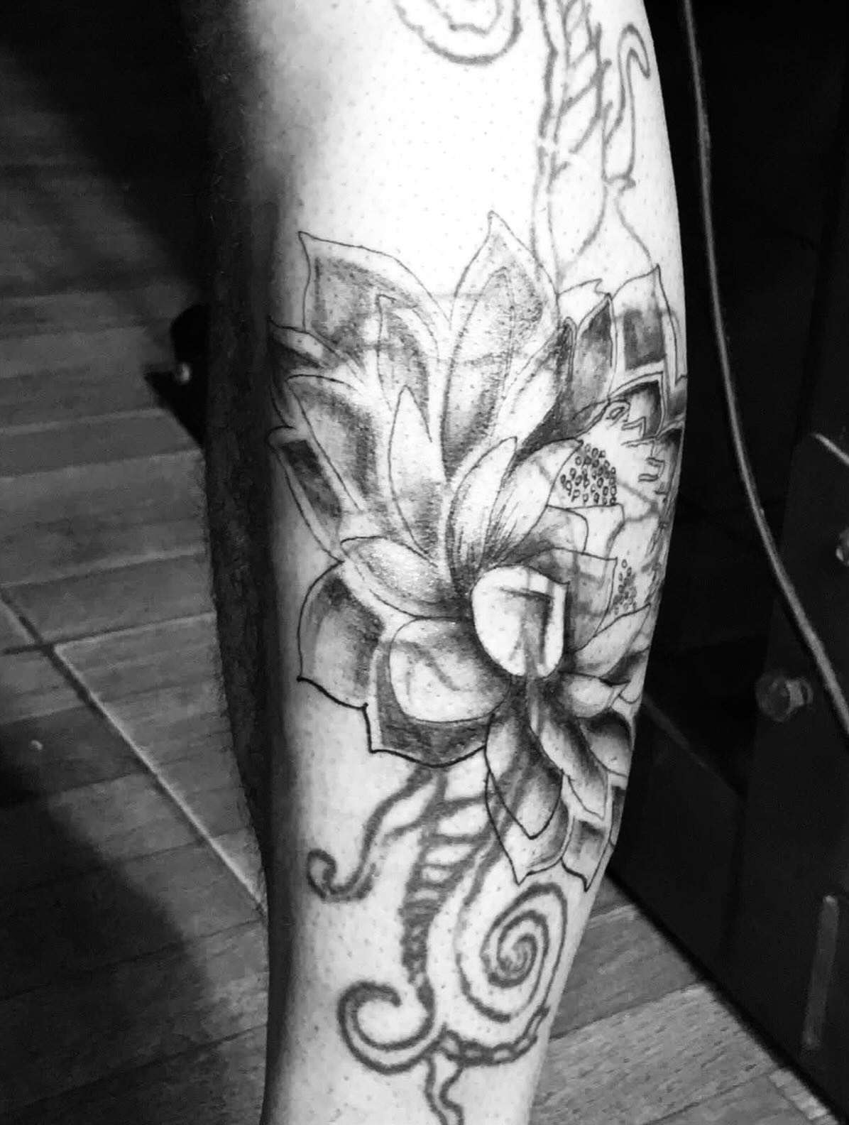 Lotus Flower