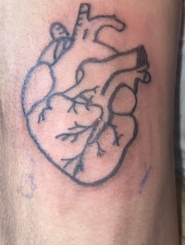 Anatomical Heart