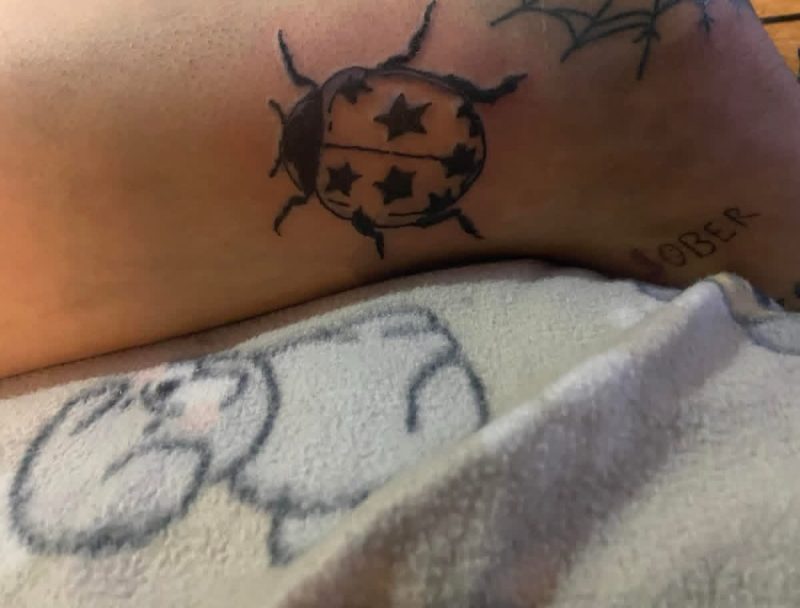 Star Ladybug