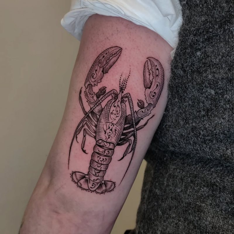 Engraved Lobster