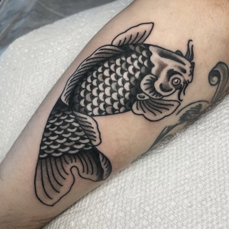 Black Koi Fish