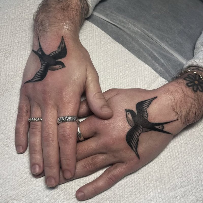 Flying Swallow