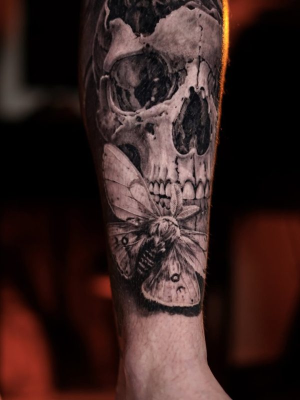 Skull and Moth