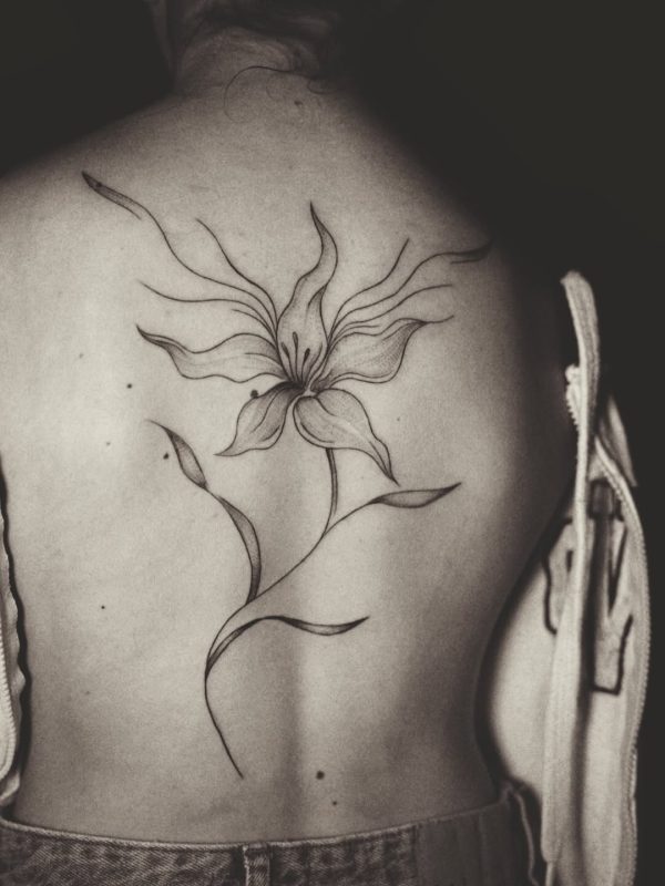 Delicate Flower