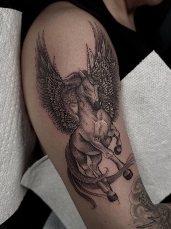 Winged Unicorn