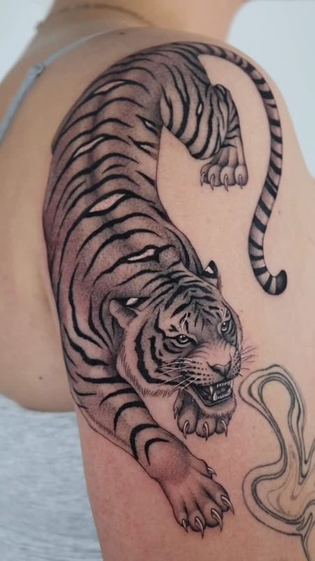 Black Gray Tiger