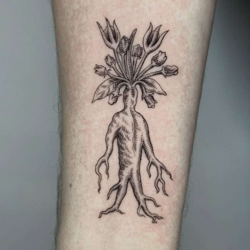 Root Creature