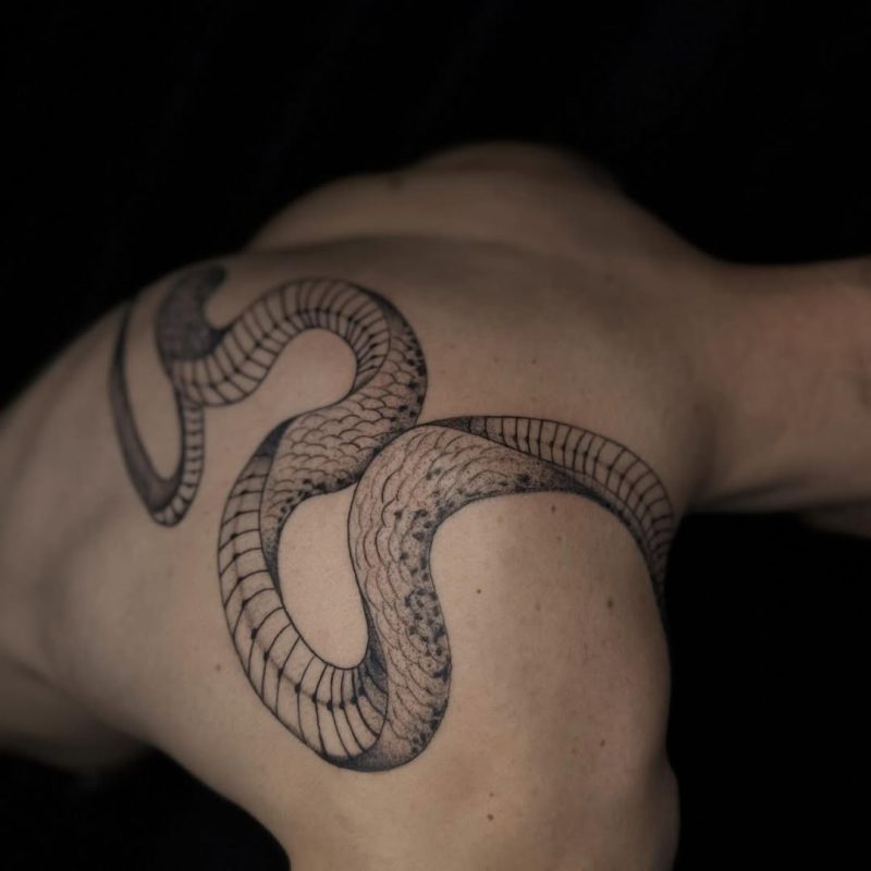 Curved Snake