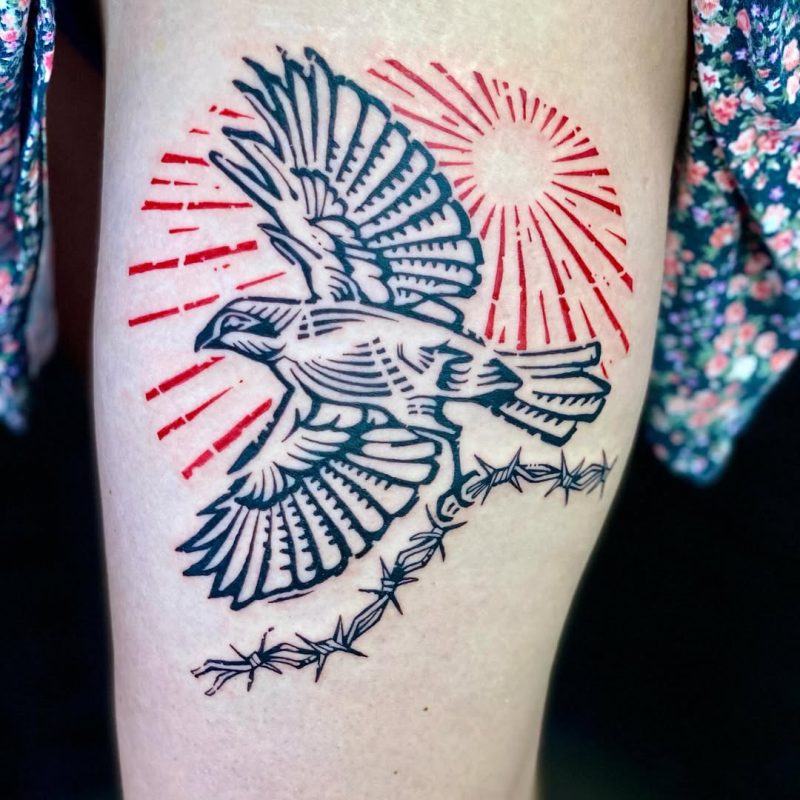 Bird and Barbed Wire