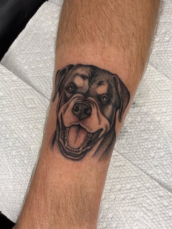 Happy Dog Portrait