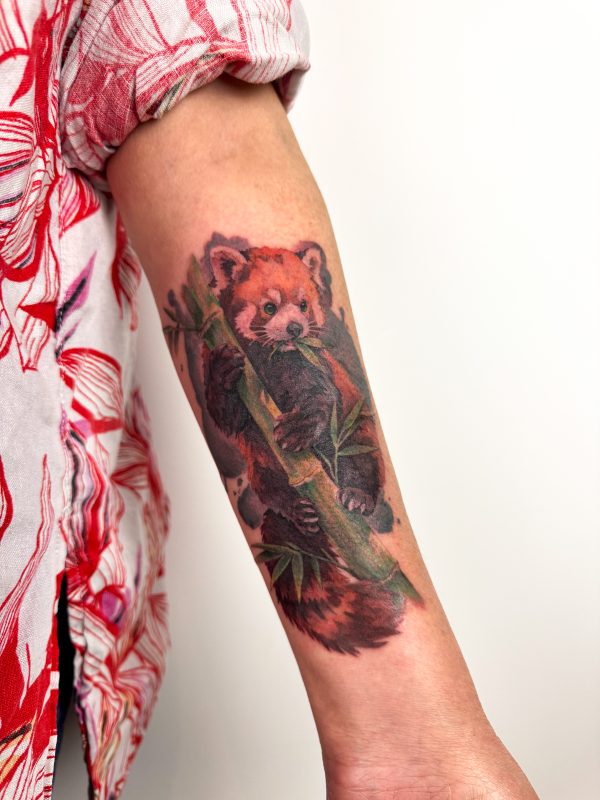 Red Panda Realism