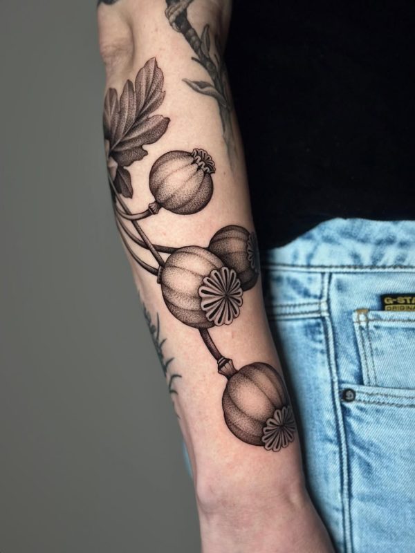 Dotwork Poppy Pods