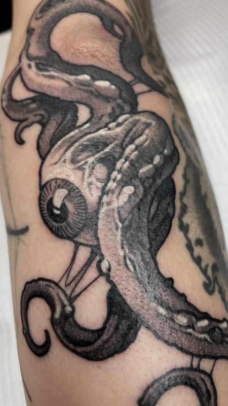 Octopus Detail