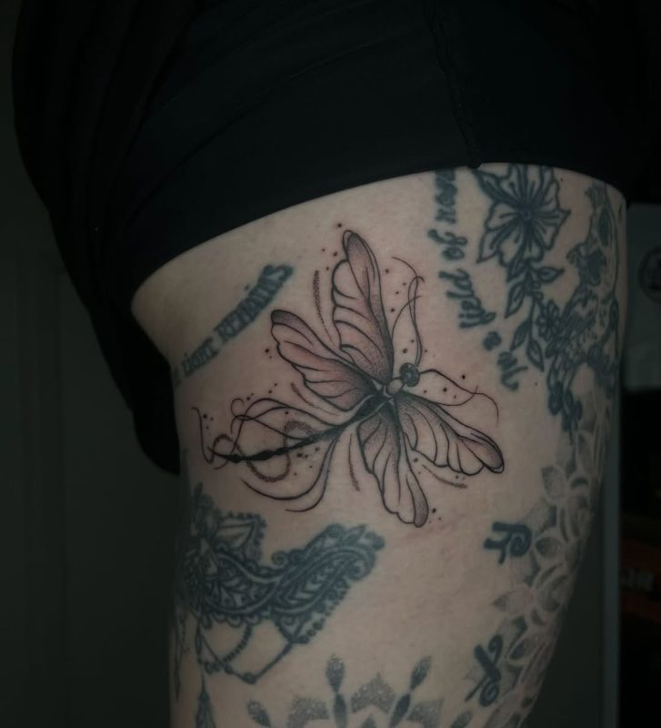 Delicate Dragonfly