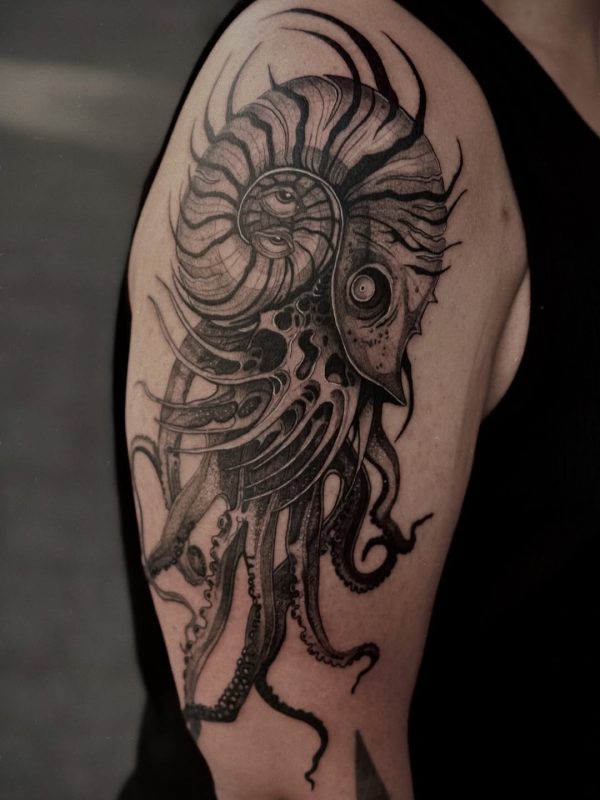 Nautilus Octopus
