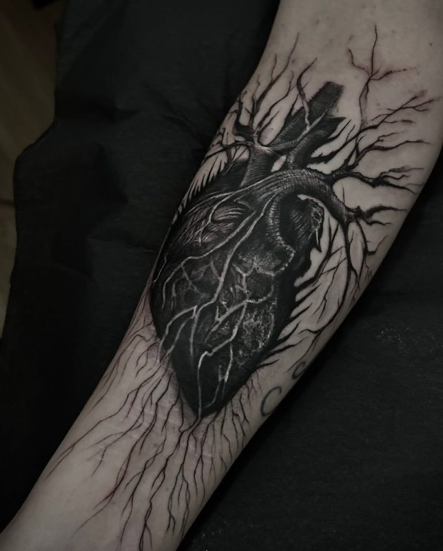 Anatomical Heart