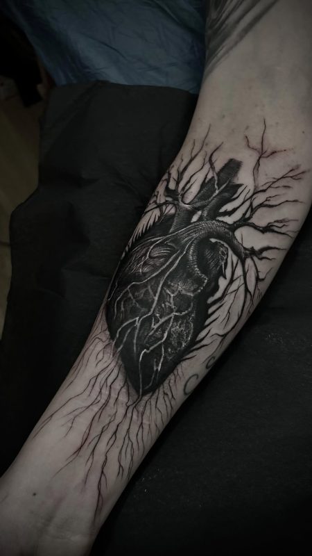 Anatomical Heart