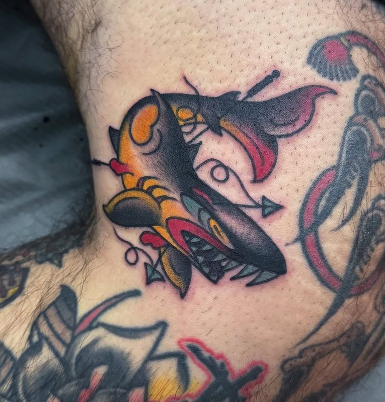 Shark Head