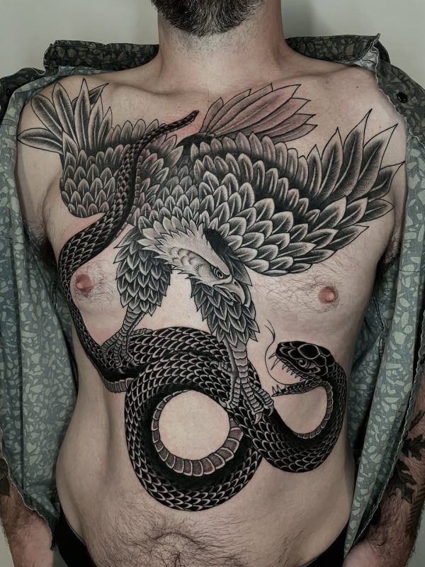 Eagle vs Snake