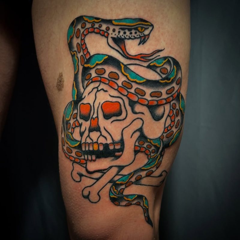 Snake Skull