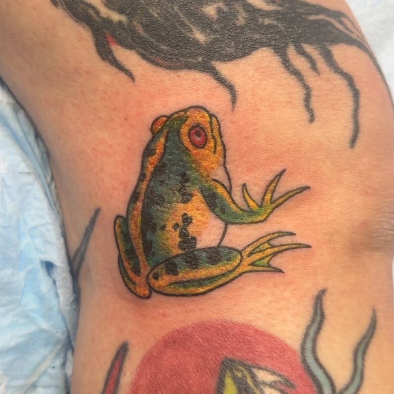 Colorful Frog