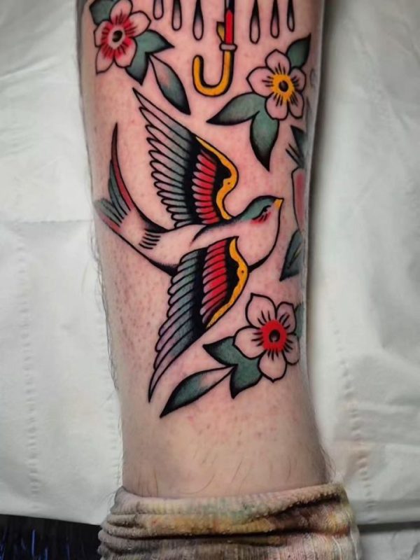Traditional Swallow