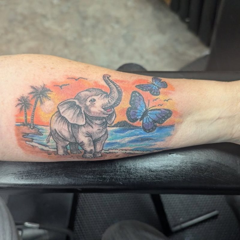 Elephant Beach Scene