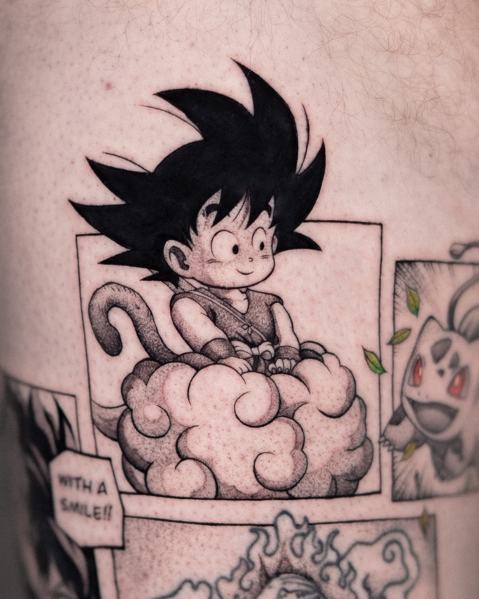 Goku on Nimbus mangapanel