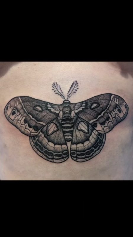 Black Gray Moth