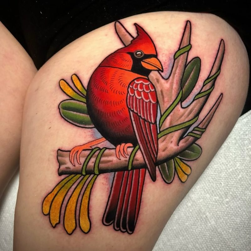 Cardinal on Branch