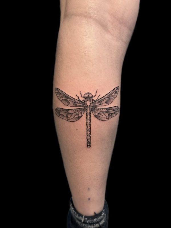 Dragonfly Outline