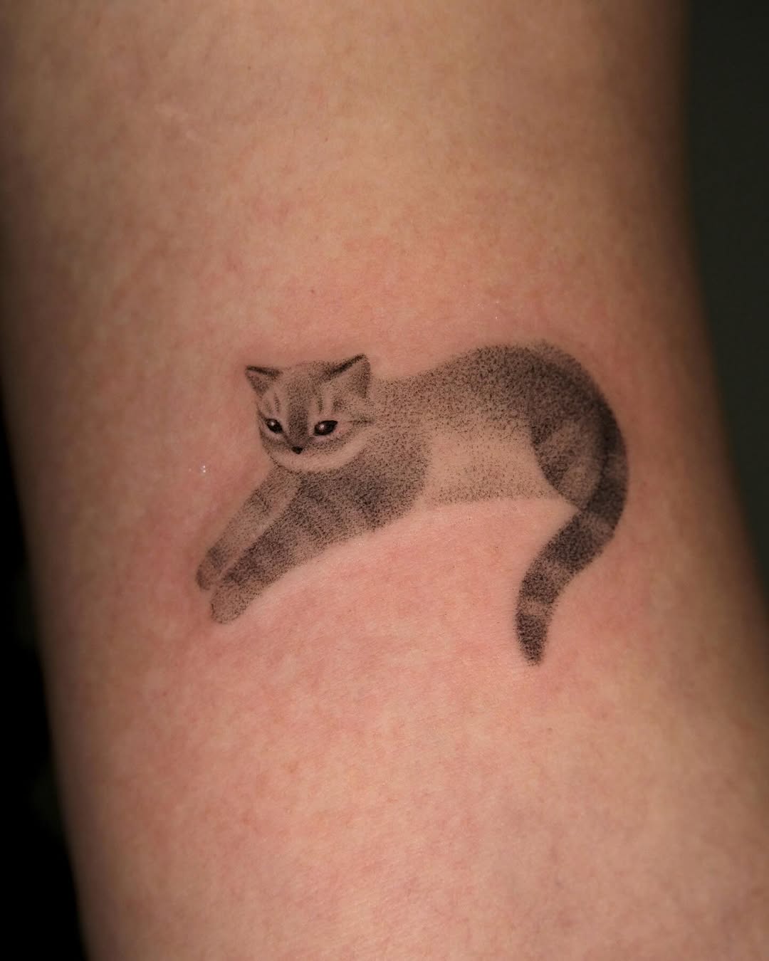 Dotwork Cat