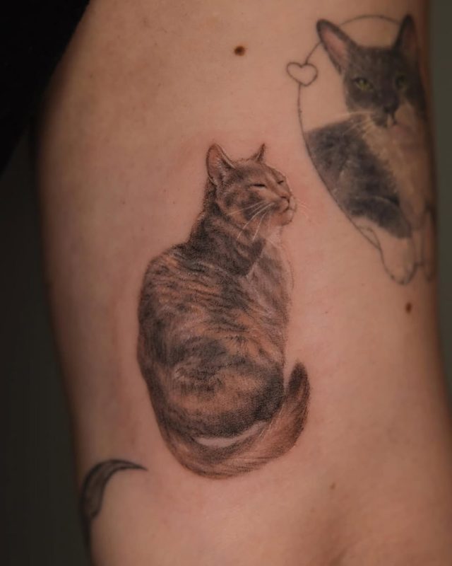 Realistic Cat Portrait
